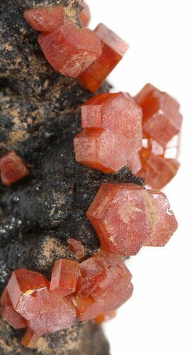 Red Vanadinite Crystals on Manganese Oxide - Morocco #38473